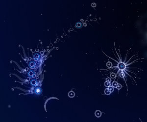 flOw Screenshots