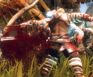 Viking: Battle For Asgard Screenshots