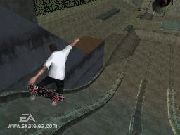 Skate It Videos