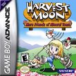 Harvest Moon: More Friends of Mineral Town boxshot