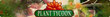 Plant Tycoon boxshot