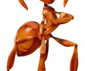 The Ant Bully Chat