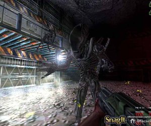 Aliens versus Predator Screenshots