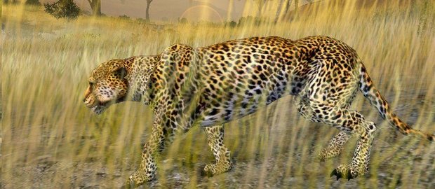 Cabela's African Safari News