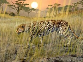 Cabela's African Safari Screenshot from Shacknews