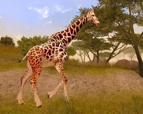Cabela's African Safari Screenshot from Shacknews