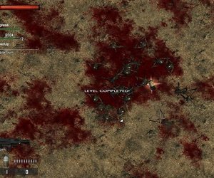 D-Bug Videos