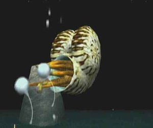 Seaman Files