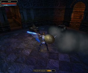 Dungeon Lords Screenshots