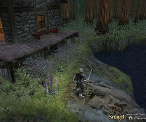 Dungeon Siege Screenshots