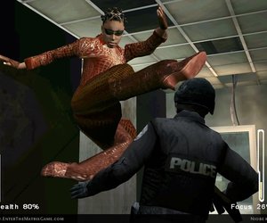Enter the Matrix Files