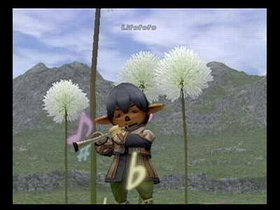 FINAL FANTASY XI Vana'diel Collection 2007 Screenshot from Shacknews