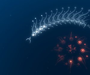 flOw Screenshots