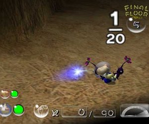 Pikmin 2 Files