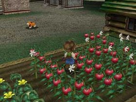 Harvest Moon: A Wonderful Life Screenshot from Shacknews