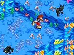 Kingdom Hearts: Chain of Memories Files