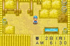 Harvest Moon: Friends of Mineral Town Files