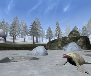 The Elder Scrolls III: Bloodmoon Videos