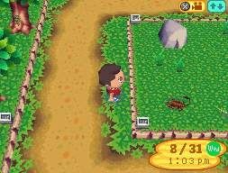 Animal Crossing: Wild World Files