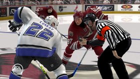 NHL 07 Screenshot from Shacknews