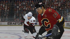 NHL 2K7 Screenshot from Shacknews