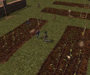 Neverwinter Nights: Diamond Files