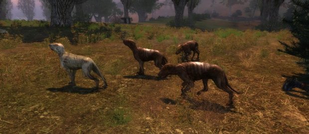 S.T.A.L.K.E.R.: Shadow of Chernobyl News