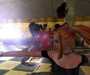 D.i.R.T. Origin of the Species Files
