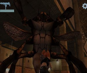 D.i.R.T. Origin of the Species Chat