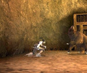 Tenchu: Fatal Shadows Files
