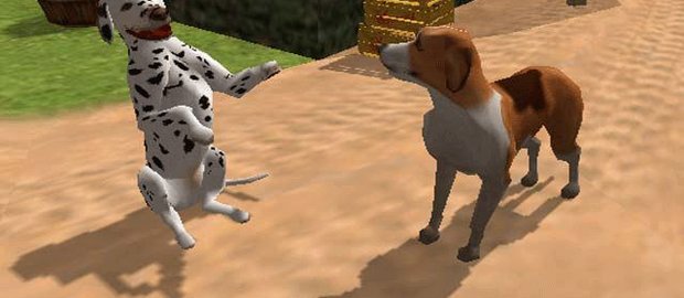 Dog's Life News