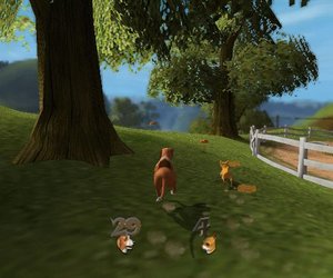 Dog's Life Chat