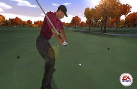Tiger Woods PGA Tour 2005 Screenshot from Shacknews