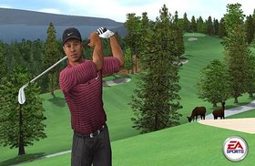 Tiger Woods PGA Tour 2005 Screenshot from Shacknews