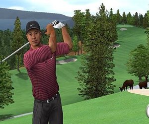 Tiger Woods PGA Tour 2005 Chat