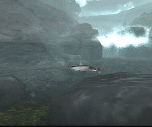 Reel Fishing: Life & Nature Screenshots