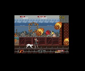 SEGA Genesis Collection Files
