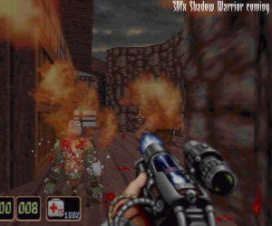 Shadow Warrior Files