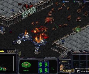 StarCraft Files