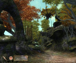 The Elder Scrolls IV: The Shivering Isles Chat