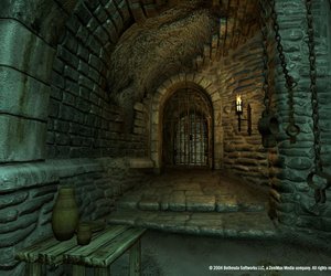The Elder Scrolls IV: Oblivion Files