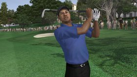 Tiger Woods PGA Tour 07 Screenshot from Shacknews