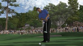 Tiger Woods PGA Tour 07 Screenshot from Shacknews