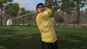 Tiger Woods PGA Tour 07 Screenshot from Shacknews