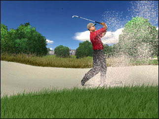 Tiger Woods PGA Tour 2004 Files