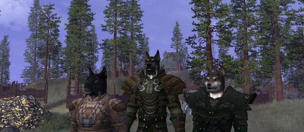 Vanguard: Saga of Heroes News