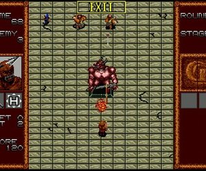 Gain Ground Screenshots