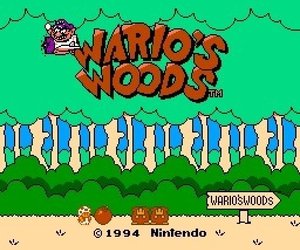 Wario's Woods Files