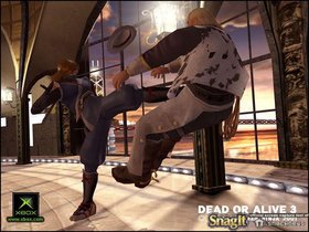 Dead Or Alive 3 Screenshot from Shacknews