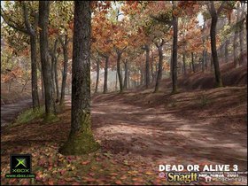 Dead Or Alive 3 Screenshot from Shacknews
